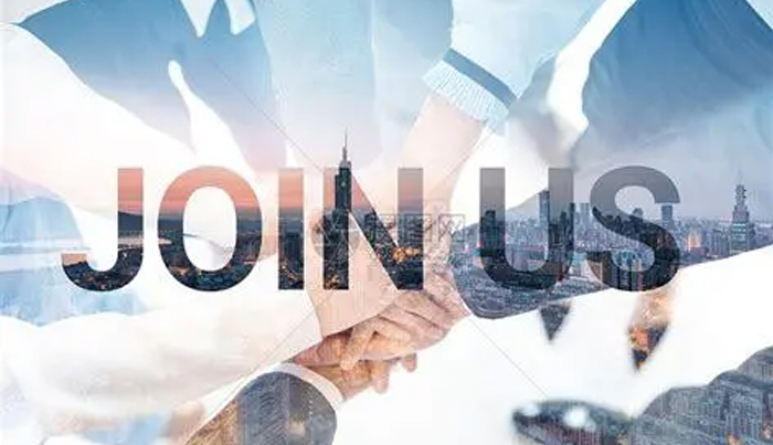 Company profile