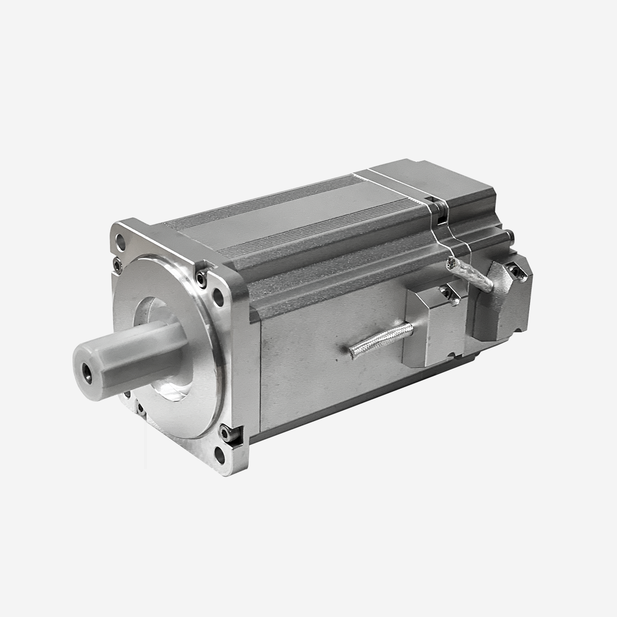 Low-Temperature Servo Motor