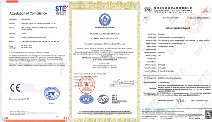 Company profile